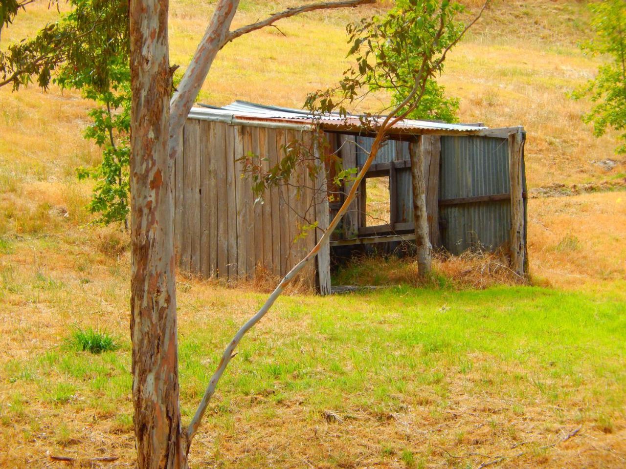 Bed and Breakfast Morialta Barns à Norton Summit Extérieur photo